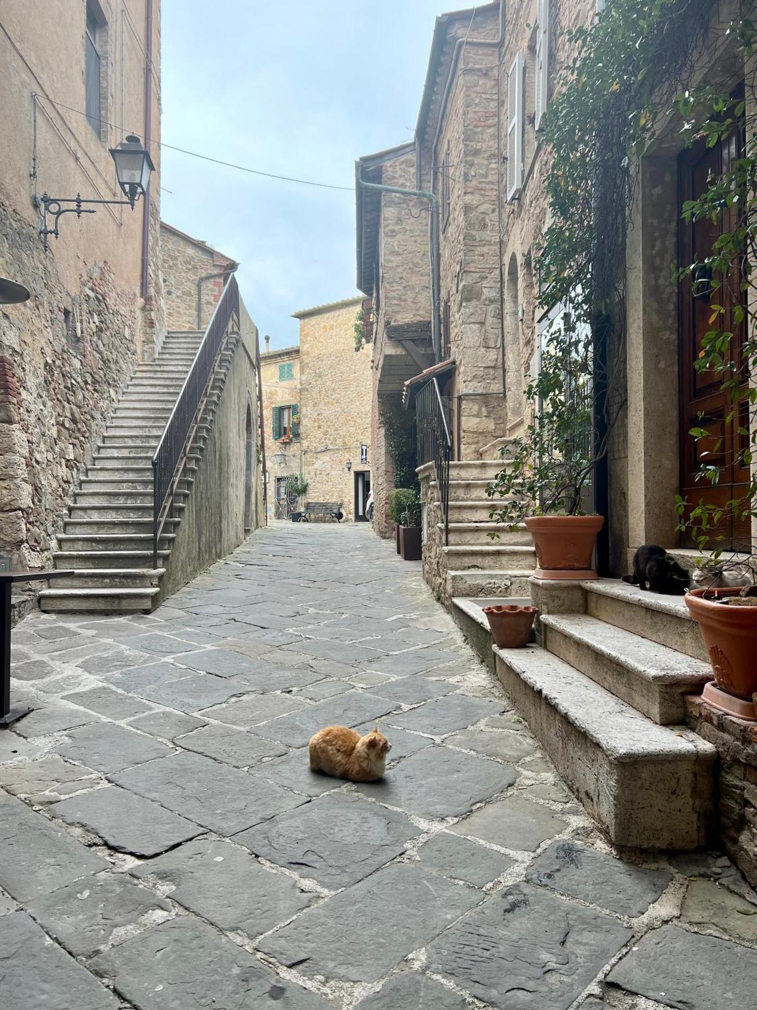 Casa Pruno Rosso Leilighet Montemerano Eksteriør bilde